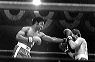 Main-Event-79'.jpg